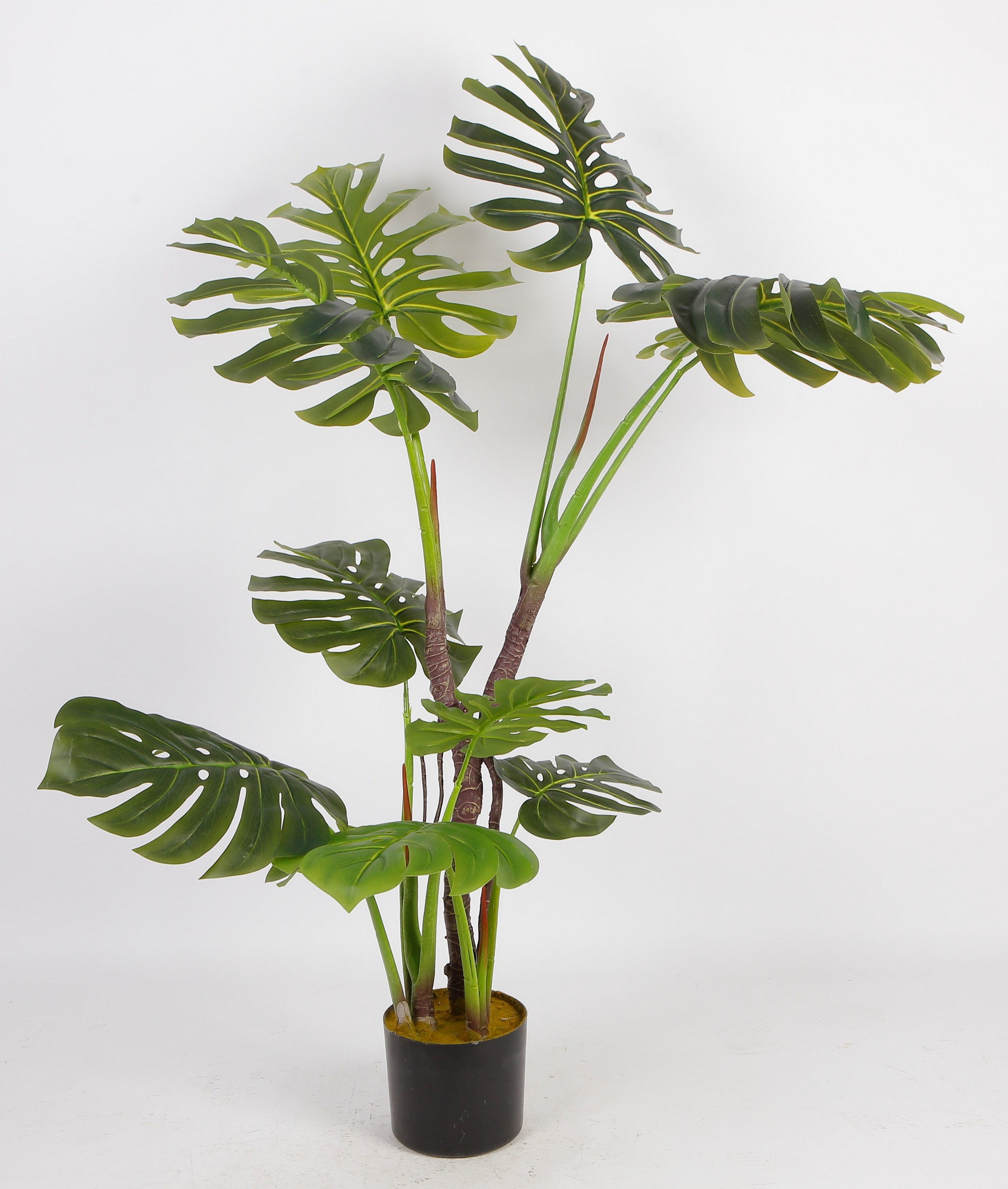 Planta Decorativa Monstera Verde Y Blanco Con Maceta Negra