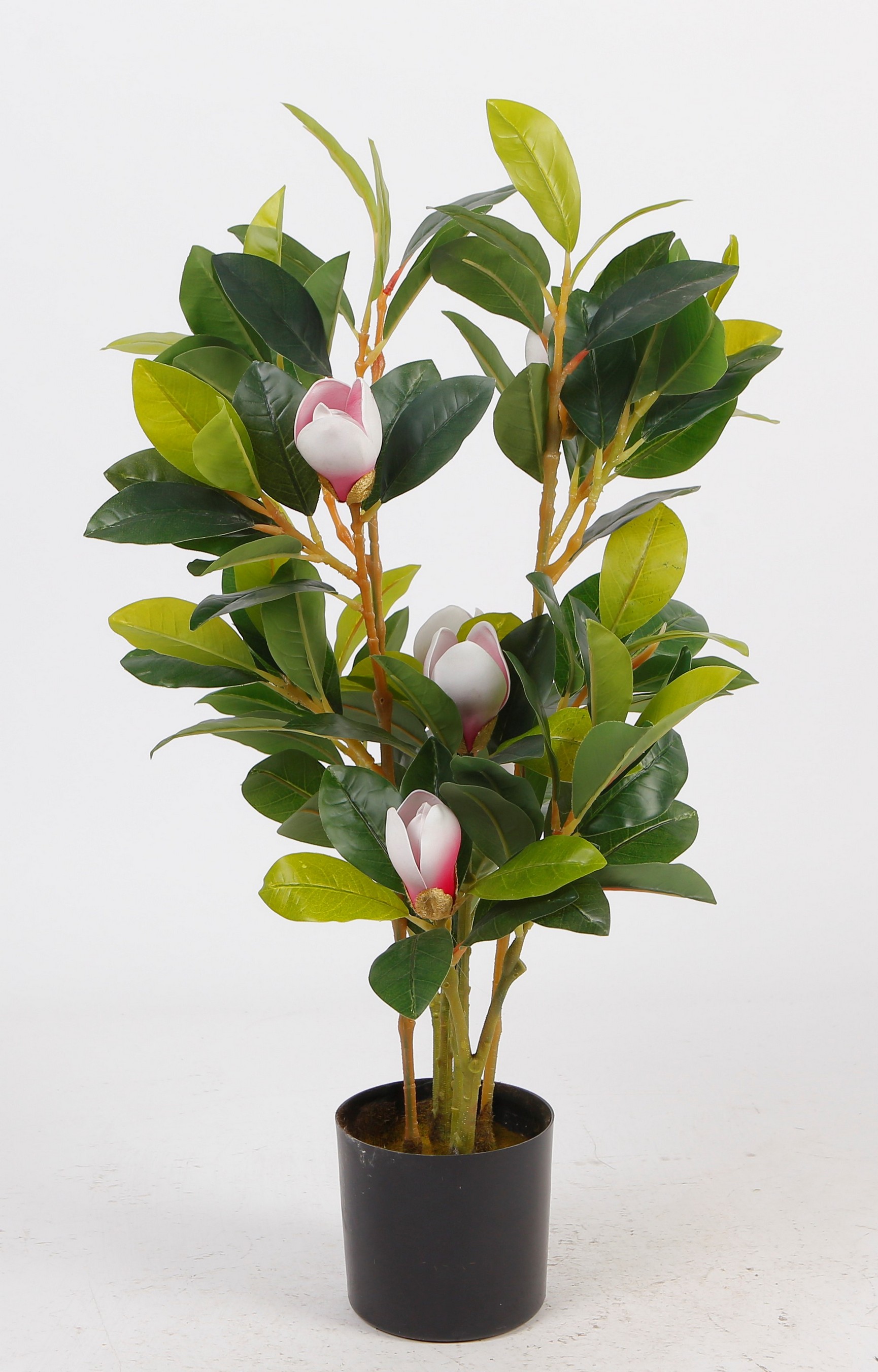 Foto 4 pulgar | Planta Decorativa Magnolia Verde Con Maceta Negra