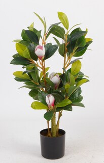Foto 3 | Planta Decorativa Magnolia Verde Con Maceta Negra