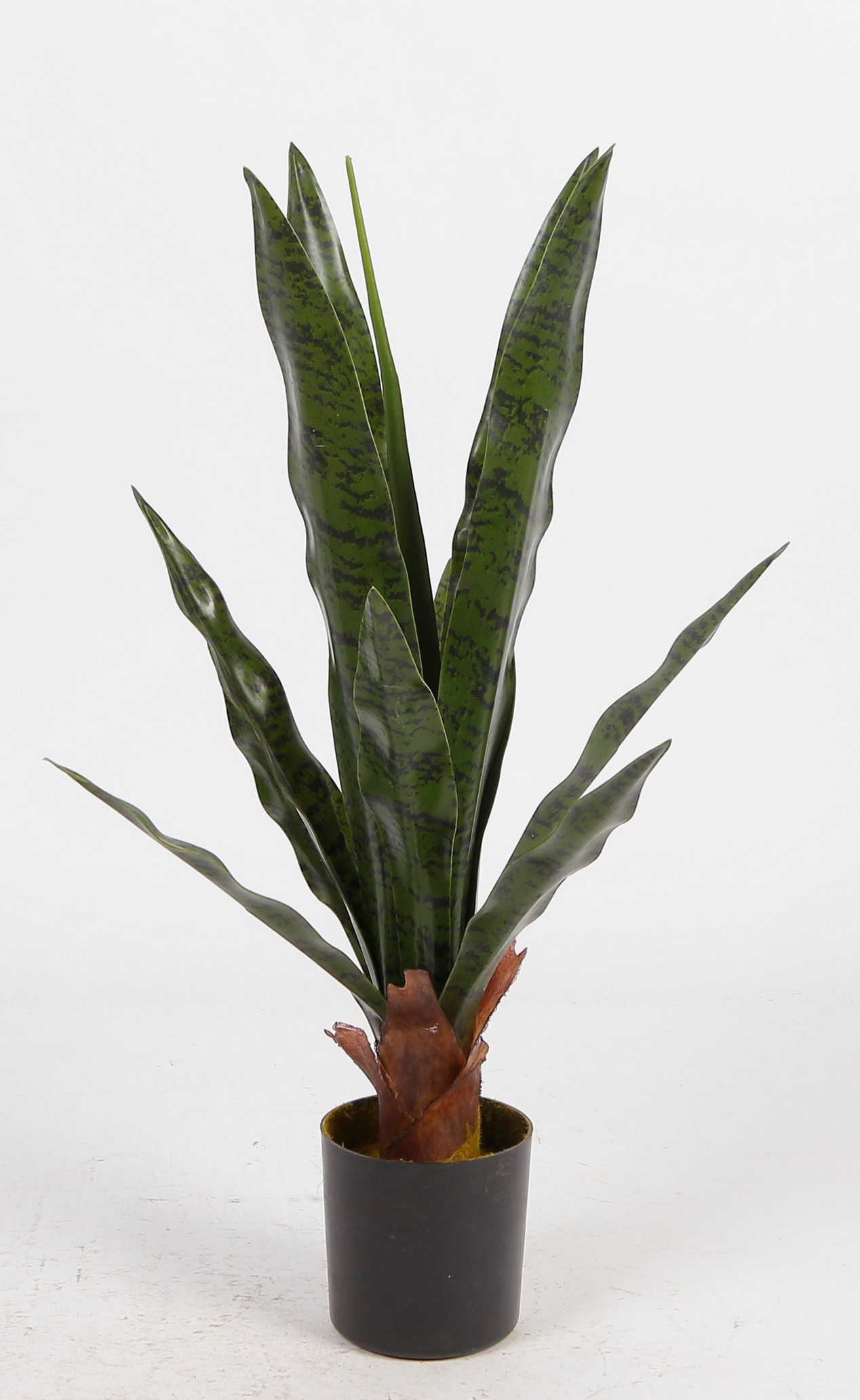 Foto 2 pulgar | Planta Decorativa Sansevieria Verde Con Maceta Negra