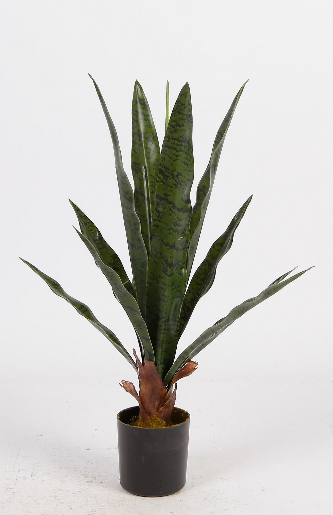 Foto 2 | Planta Decorativa Sansevieria Verde Con Maceta Negra