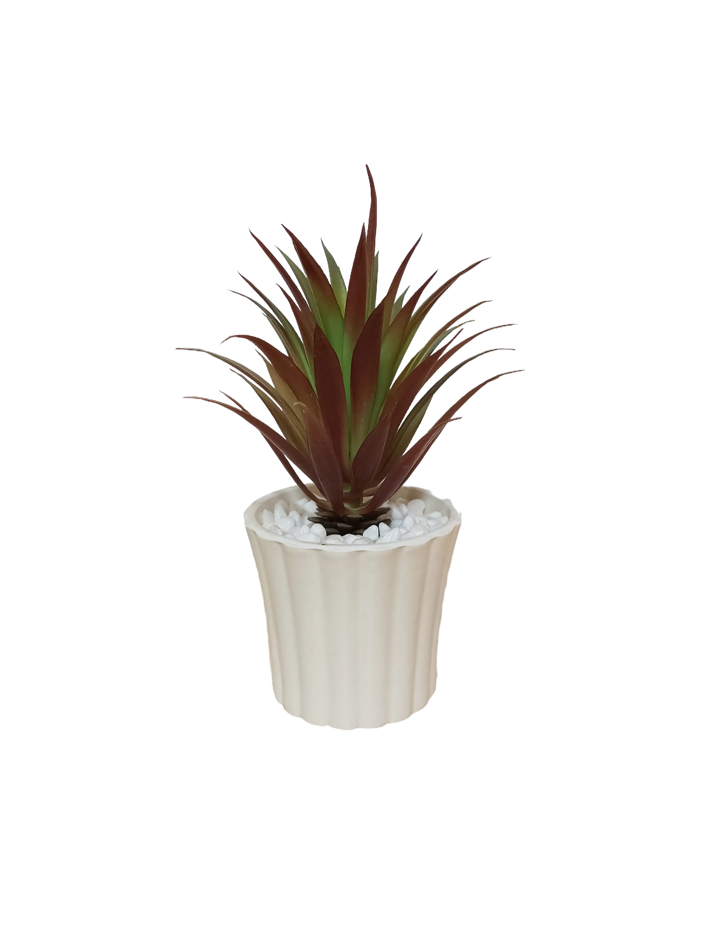 Planta Decorativa Agave Verde Con Maceta De Cerámica Blanca