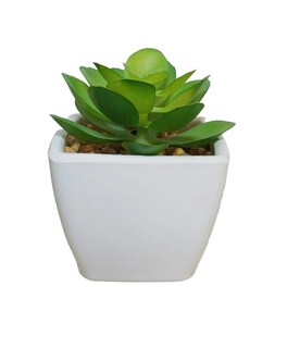 Foto 1 | Planta Decorativa Suculenta Verde Con Maceta Negra