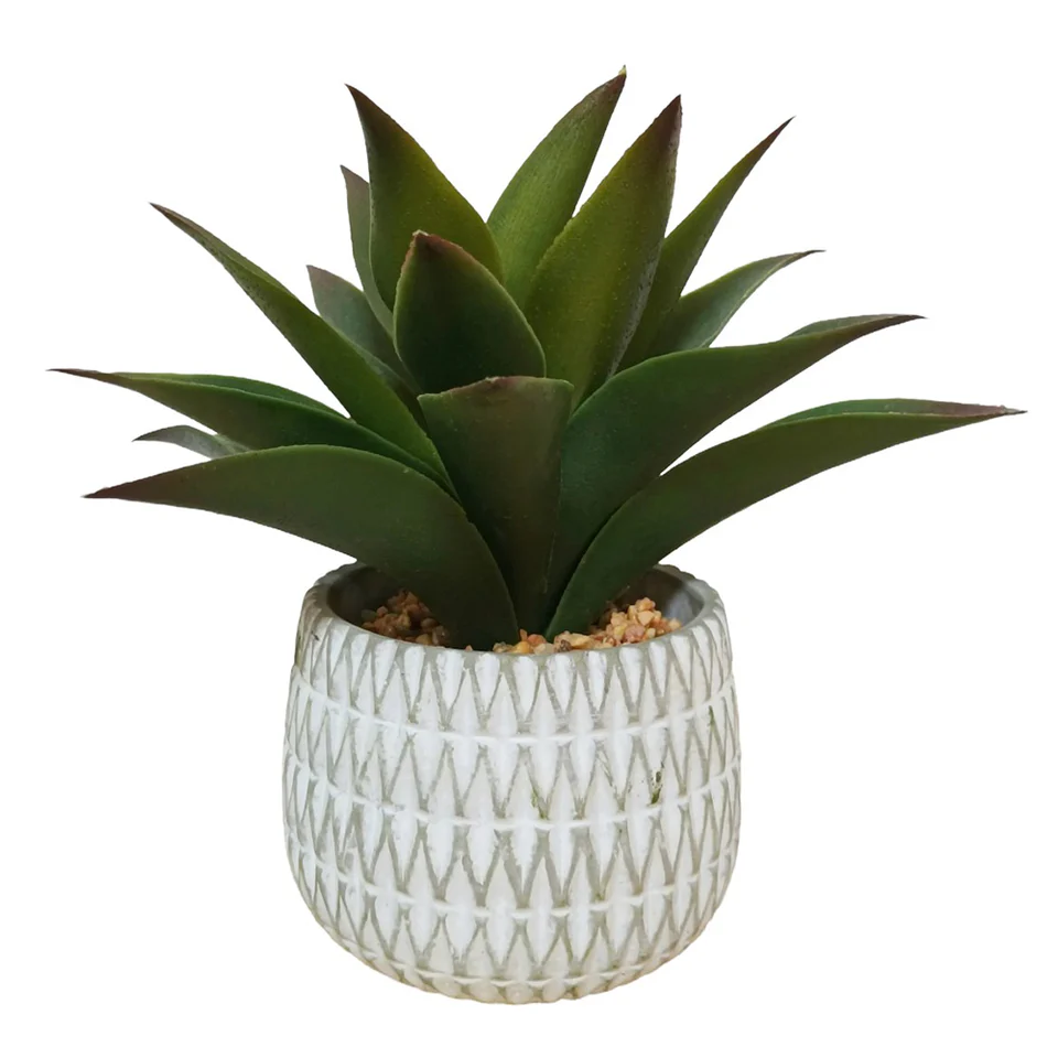 Planta Decorativa Agave Verde Con Maceta De Cerámica Blanca