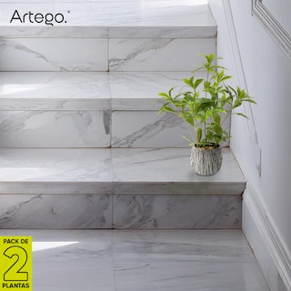 Foto 8 | Planta Artificial Moderna Con Maceta Decorativa Real Style Andromeda Japonesa Compacta Pack De 2 Unidades De 45cm De Al
