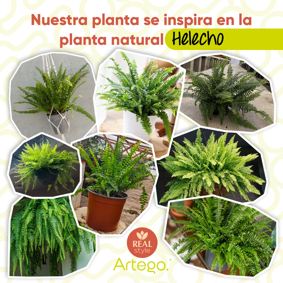 Foto 5 pulgar | Planta Artificial Moderna Con Maceta Decorativa Real Style Helecho Compacta De 36cm De Alto