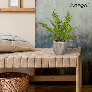 Foto 7 | Planta Artificial Moderna Con Maceta Decorativa Real Style Helecho Compacta De 36cm De Alto