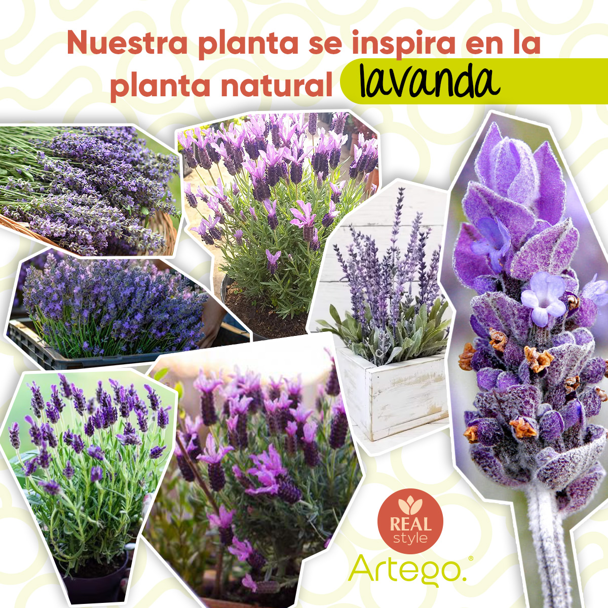 Foto 5 pulgar | Planta Artificial Moderna Con Maceta Decorativa Real Style Lavanda Compacta Pack De 2 Unidades De 34cm De Alto