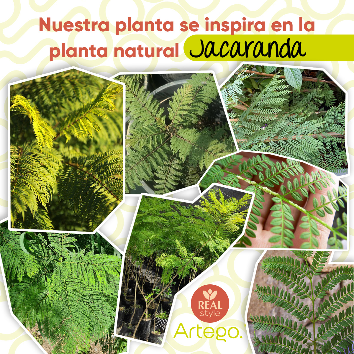 Foto 5 pulgar | Planta Artificial Moderna Con Maceta Decorativa Real Style Jacaranda Grande De 150cm De Alto Artego