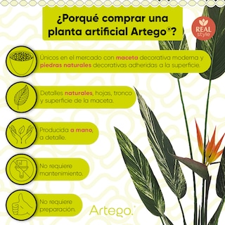 Foto 3 | Planta Artificial Moderna Con Maceta Decorativa Real Style Alpinia Zerumbet De 140cm De Alto Artego