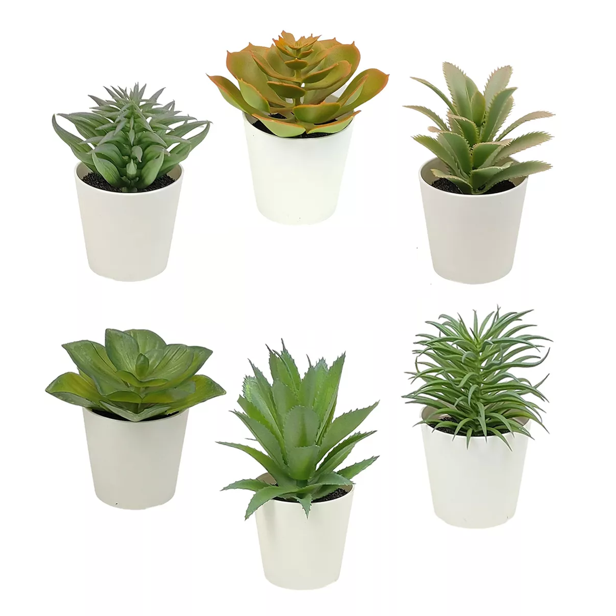 Foto 2 pulgar | Plantas Suculentas Artificiales Macetas Decorativas 6 Pcs Eo Safe Imports Esi-17575 Multicolor