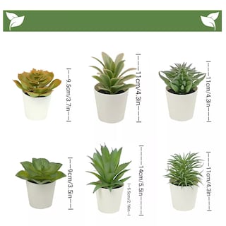 Foto 3 | Plantas Suculentas Artificiales Macetas Decorativas 6 Pcs Eo Safe Imports Esi-17575 Multicolor