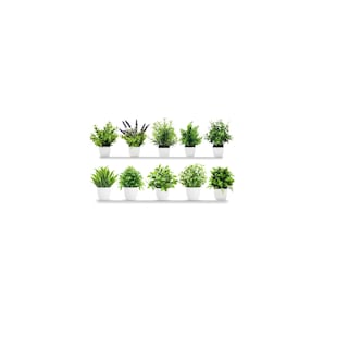 Foto 1 | 10 Piezas Plantas Artificiales Macetas Decorativas Bonsai Eo Safe Imports Esi-17573 Multicolor