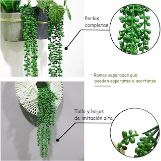 Foto 2 | Plantas Artificiales De Perlas Suculentas Colgantes De 4 Pzs Eo Safe Imports Esi-17579 Verde