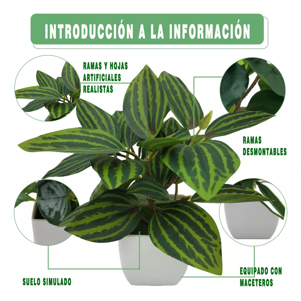 Foto 4 pulgar | 4 Macetas Plantas Artificiales Macetas Decorativas Eo Safe Imports Esi-17576 Multicolor