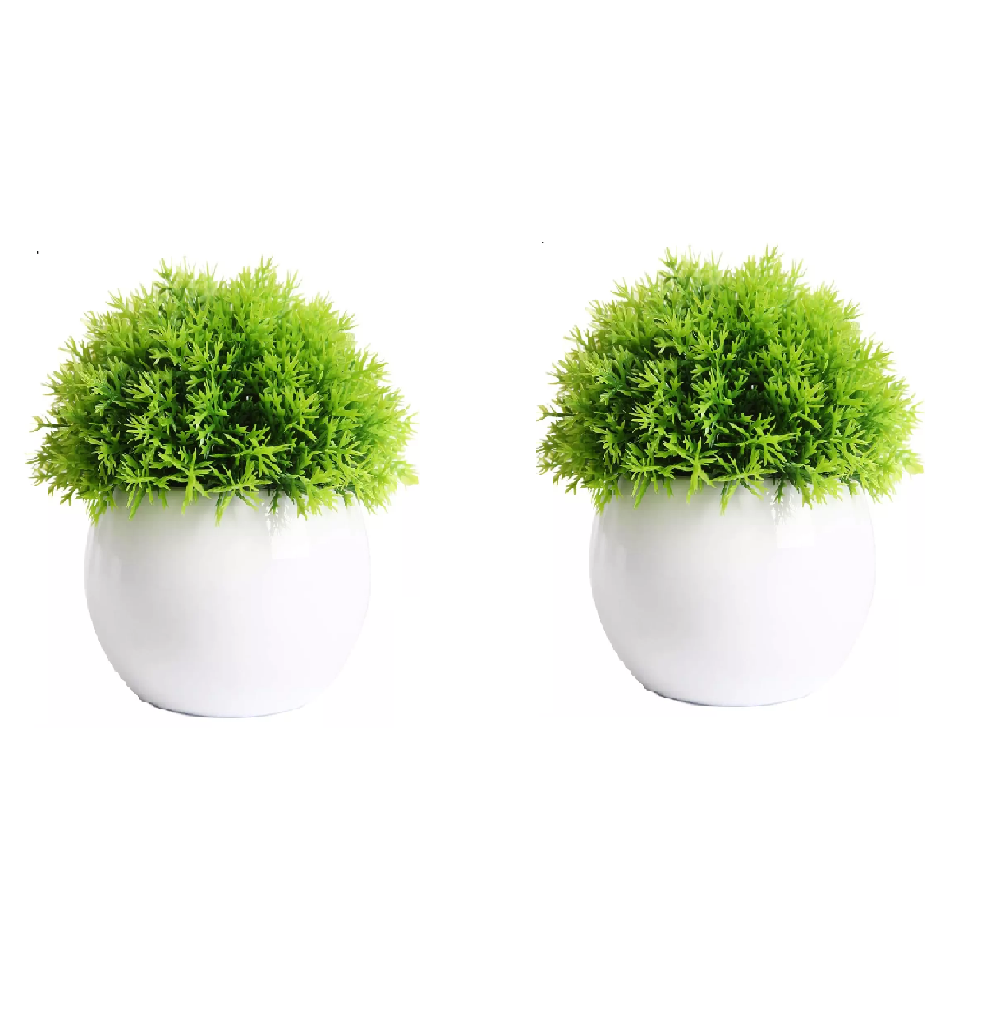 Macetas Plantas Artificiales Bonsai Eo Safe Imports Esi-18528 Blanco 2 Piezas