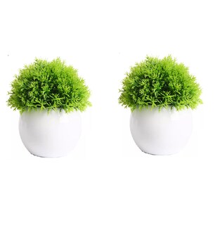 Foto 1 | Macetas Plantas Artificiales Bonsai Eo Safe Imports Esi-18528 Blanco 2 Piezas