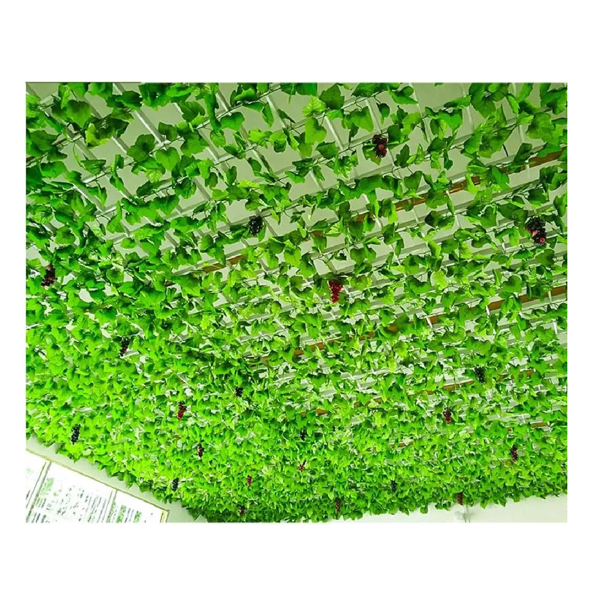 Foto 5 pulgar | Enredaderas Artificiales Belug Plantas Colgantes Decorativas 24pz
