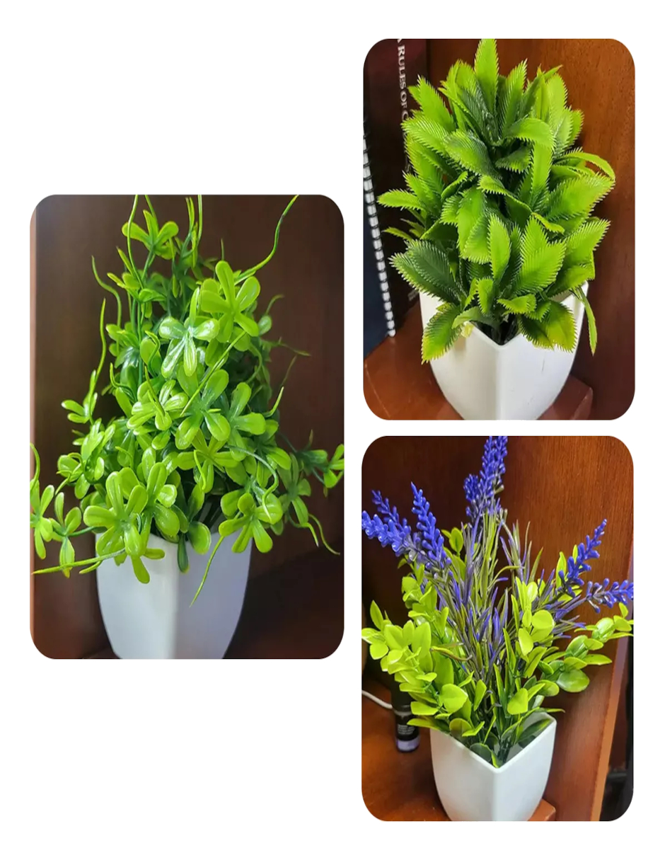 Foto 5 pulgar | Plantas Artificiales Decorativas En Macetas Verdes + Termo De Agua De Regalo Güish