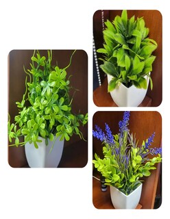 Foto 4 | Plantas Artificiales Decorativas En Macetas Verdes + Termo De Agua De Regalo Güish