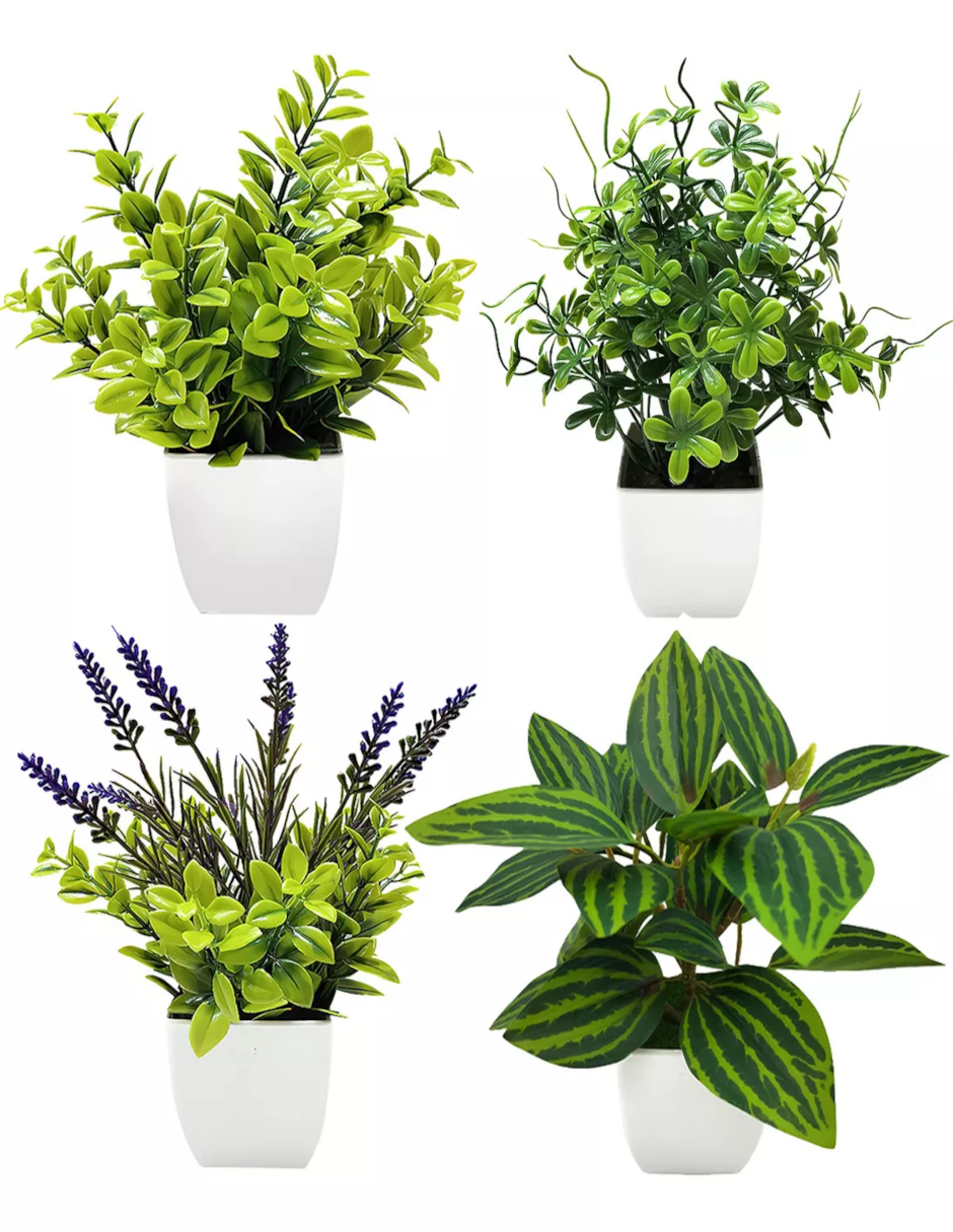 Foto 3 pulgar | Macetas Plantas Artificiales Barro Decoración + Termo De Agua De Regalo Güish