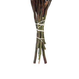 Foto 6 | Planta Preservada Vickerman Red Plumosum De 8 A 20 Cm Con 8 Cabezas - Venta Internacional.