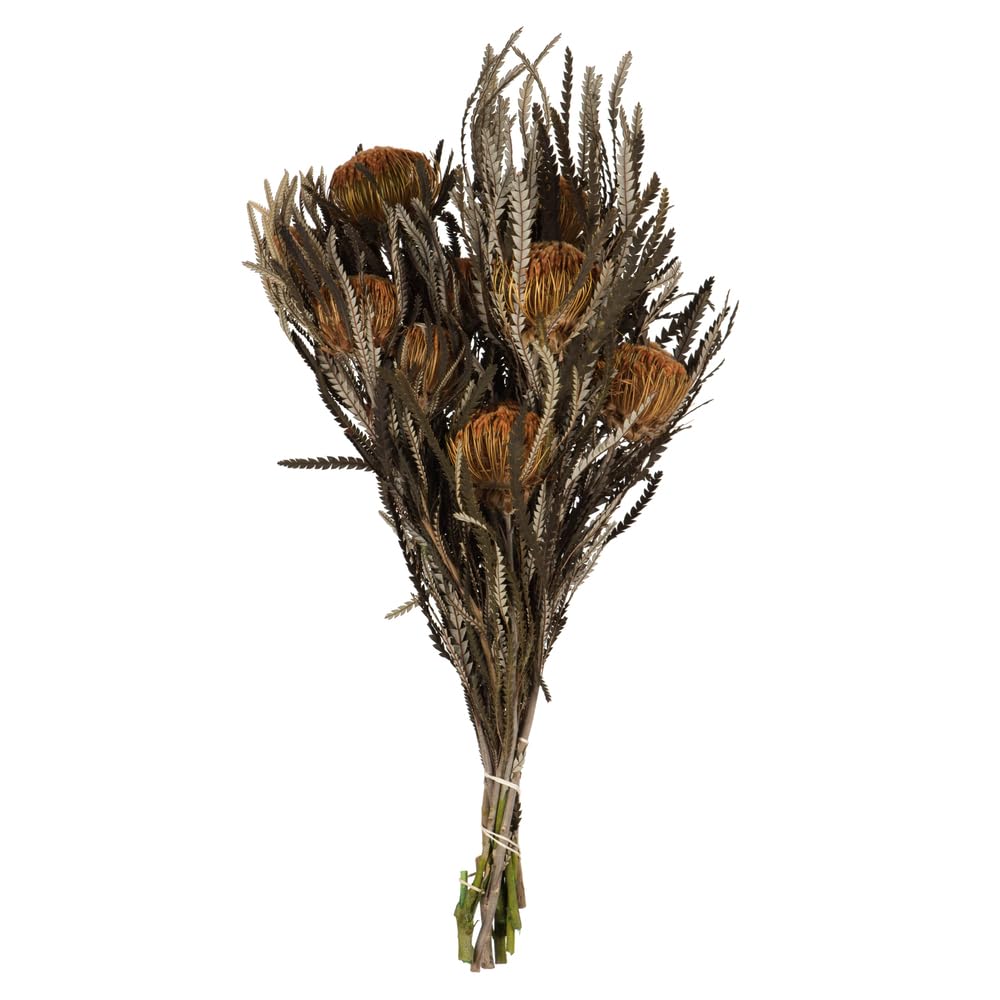 Foto 2 pulgar | Paquete De Follaje Y Flores Vickerman Autumn Banksia 120 Ml - Venta Internacional.