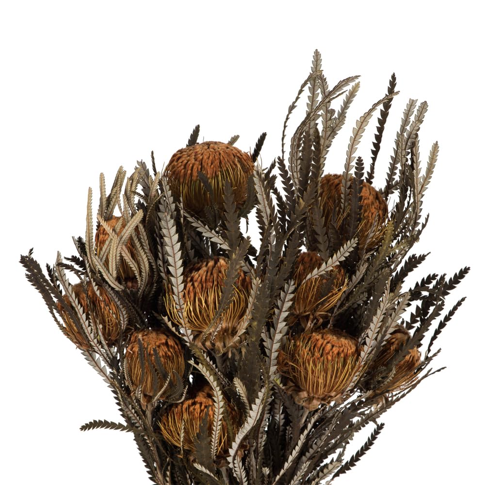 Foto 3 pulgar | Paquete De Follaje Y Flores Vickerman Autumn Banksia 120 Ml - Venta Internacional.