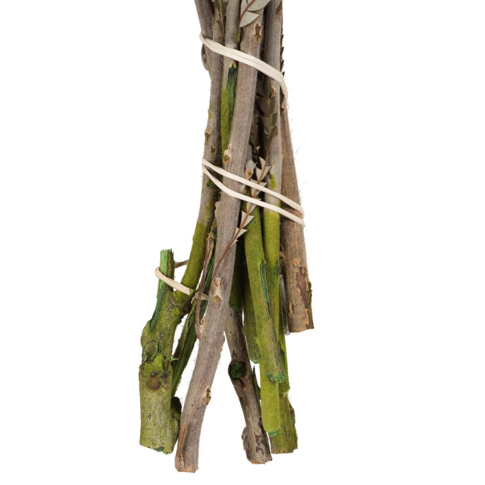 Foto 7 pulgar | Paquete De Follaje Y Flores Vickerman Autumn Banksia 120 Ml - Venta Internacional.