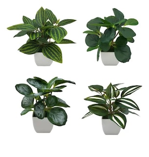 Foto 1 | 4 Xtellar Macetas Plantas Artificiales Macetas Decorativas Bonsai