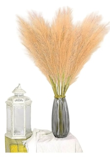 Foto 1 | Título: Xtellar Plantas Pampas Decorativas Artificiales - Elegancia Y Durabilidad En Tu Decoración Beige Rojo