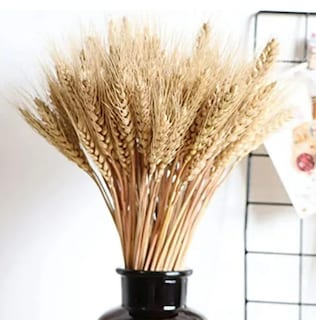 Foto 2 | Exclusivo Ramo Xtellar De Trigo Natural Con 200 Espigas Para Decoración Elegante