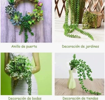 Foto 4 | Plantas Xtellar Artificiales De Perlas Suculentas Colgantes De 4 Pzs