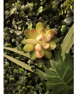 Foto 3 | Plantas Xtellar Suculentas Artificiales Plantas Decorativas 21pcs