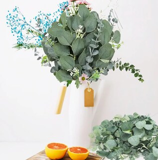 Foto 4 | Conjunto Premium De 30 Piezas De Eucalipto Artificial Xtellar Para Decoración Sofisticada Y Fina