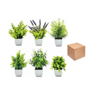 Foto 1 | Plantas Helechos Artificiales 6pzs Eo Safe Imports Esi-20452 Verde