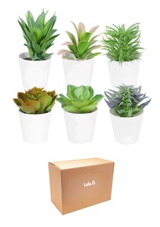 Foto 1 | Plantas Suculentas Artificiales Macetas Decorativas Bonsai 6 Pzs