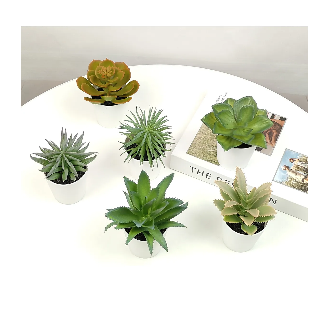 Foto 3 pulgar | Plantas Suculentas Artificiales Macetas Decorativas Bonsai 6 Pzs
