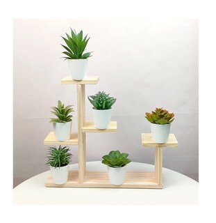 Foto 3 | Plantas Suculentas Artificiales Macetas Decorativas Bonsai 6 Pzs