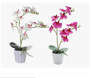 Foto 1 | Dos Xtellar Arreglo Orquideas Artificiales Decoracion 43 Cm