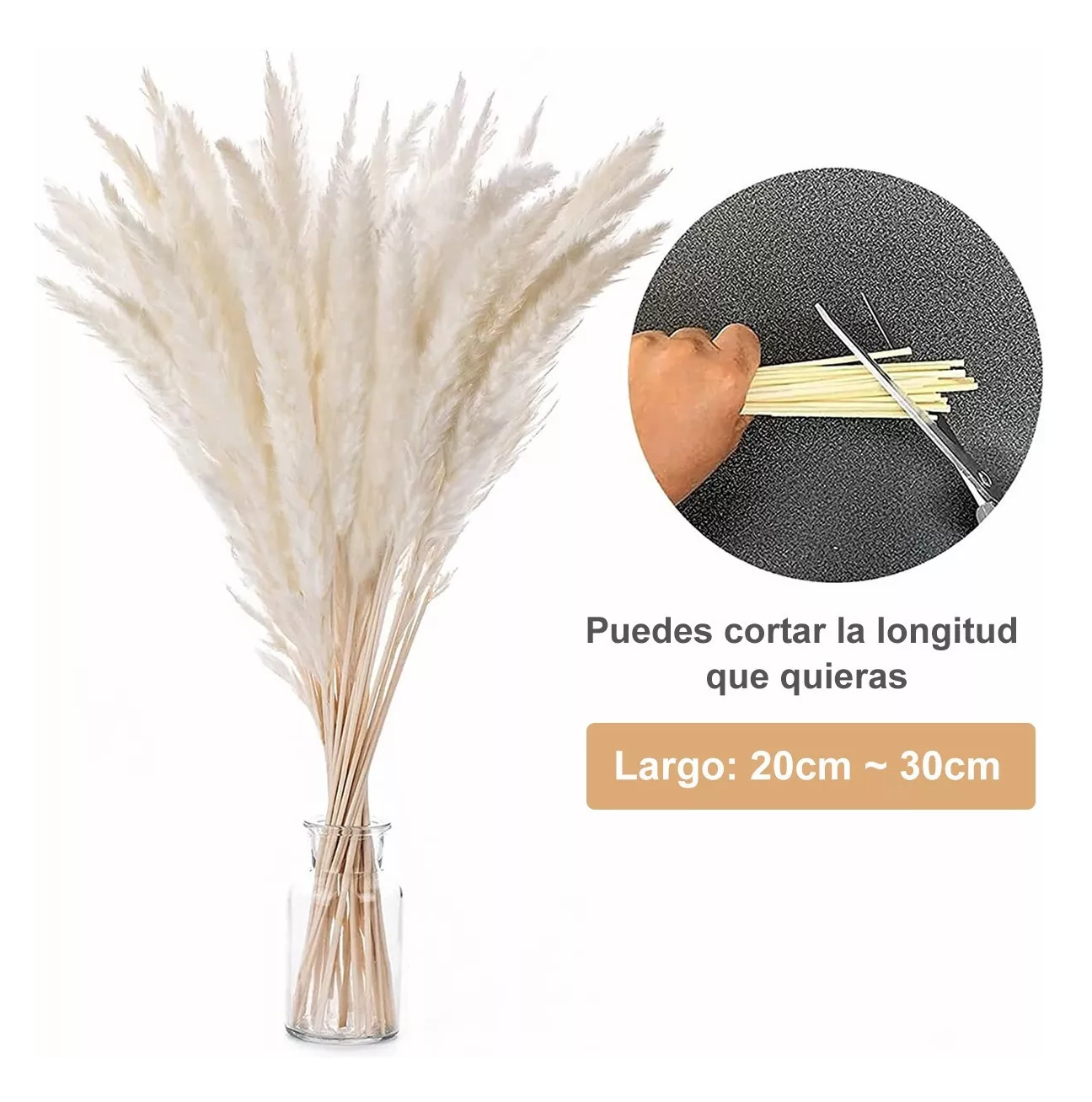 Foto 4 pulgar | Plantas Decorativas Artificiales Belug 30 Piezas color Beige