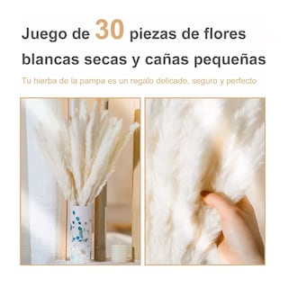 Foto 4 | Plantas Decorativas Artificiales Belug 30 Piezas color Beige