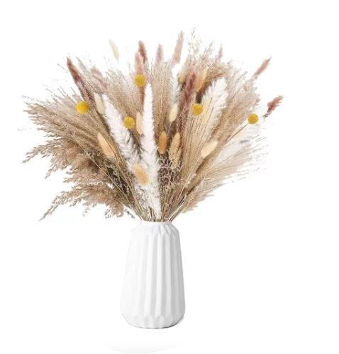 Pampas  Decorativas Artificiales Wünd 100 Piezas $670