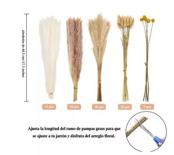 Foto 2 | Pampas Decorativas Artificiales Wünd 100 Piezas
