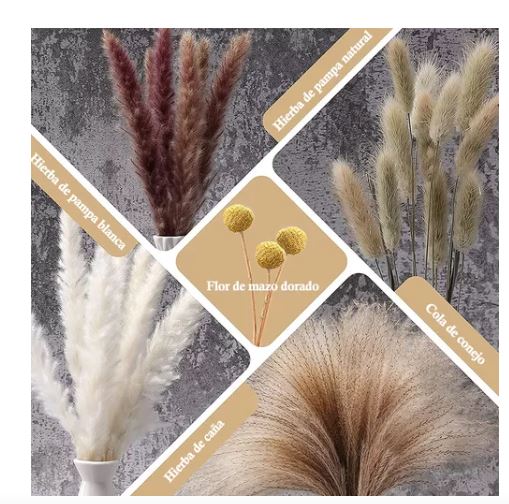 Foto 3 | Pampas  Decorativas Artificiales Wünd 100 Piezas