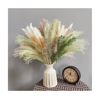 Foto 3 | 60pcs Pampas Secas Plantas Decorativas Flores Artificiales Verde Claro