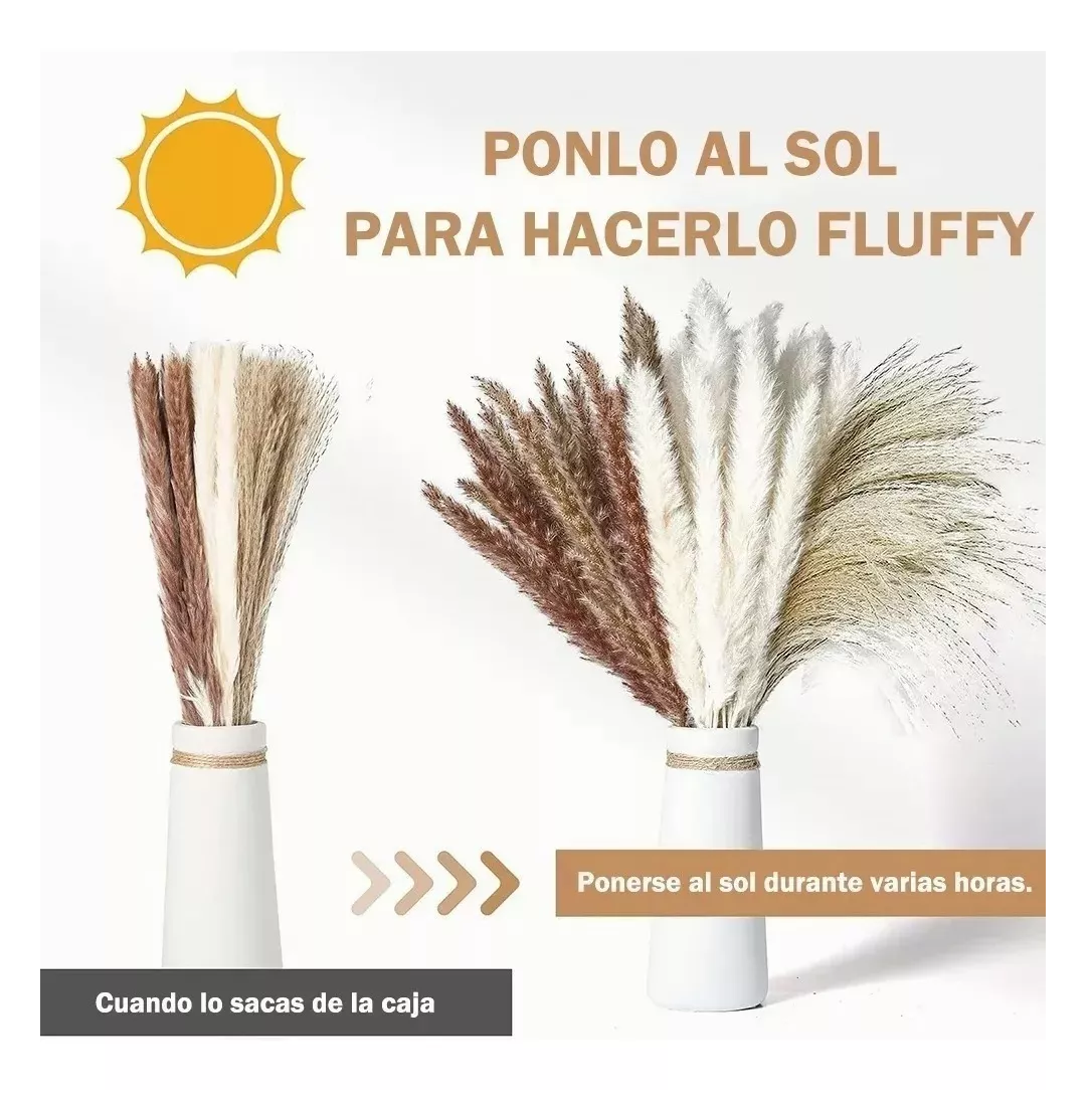 Foto 3 pulgar | Pampas Secas 60 Pzs Plantas Decorativas Flores Artificiales Beige/cafe