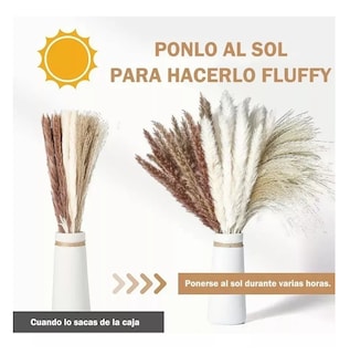Foto 2 | Pampas Secas 60 Pzs Plantas Decorativas Flores Artificiales Beige/cafe