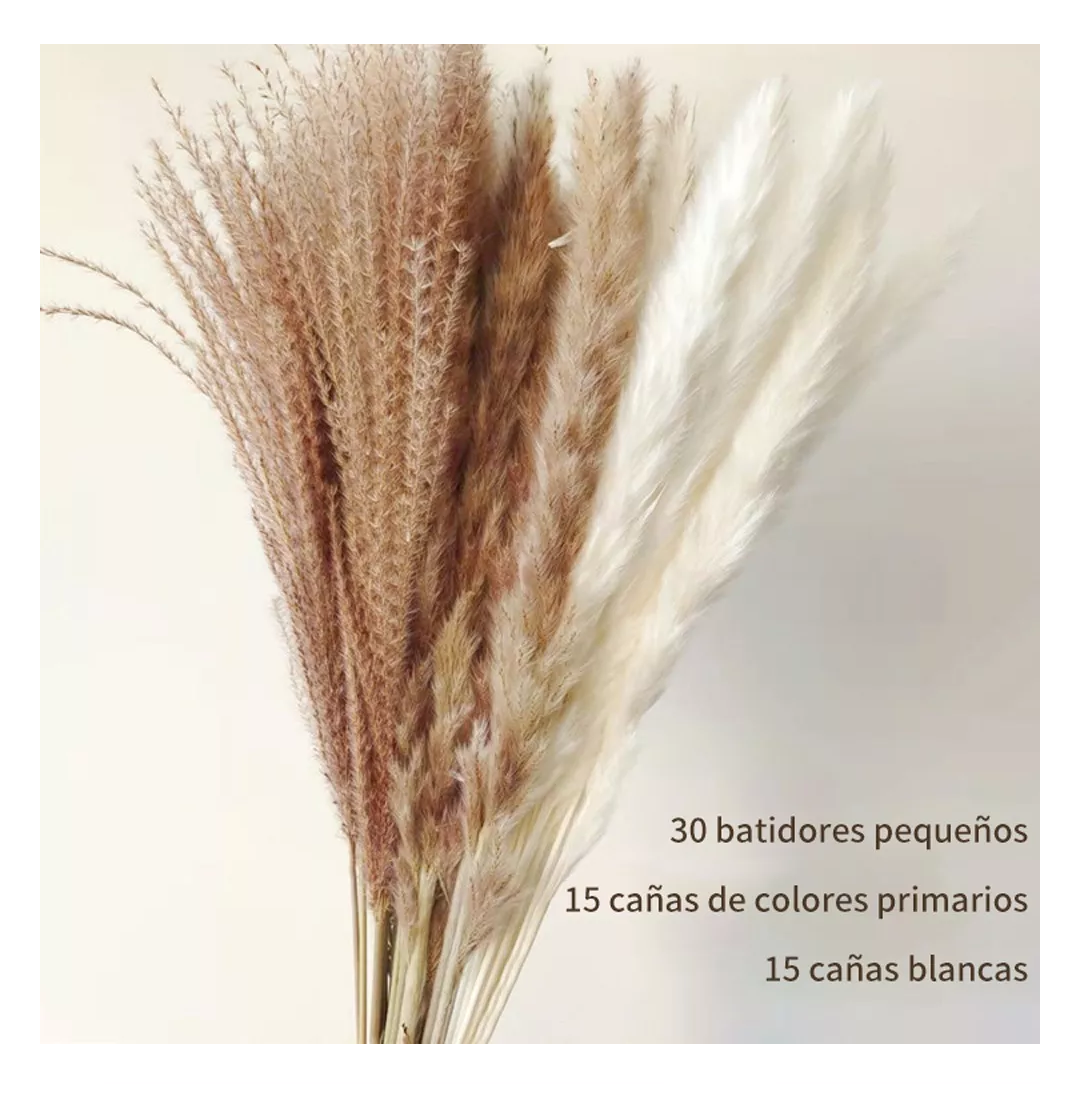 Foto 5 pulgar | Pampas Secas 60 Pzs Plantas Decorativas Flores Artificiales Beige/cafe