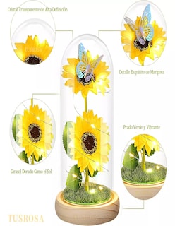 Foto 4 | Flores Eternas Artificiale Girasoles En Cúpula De Vidrio Led + Termo De Agua De Regalo Güish